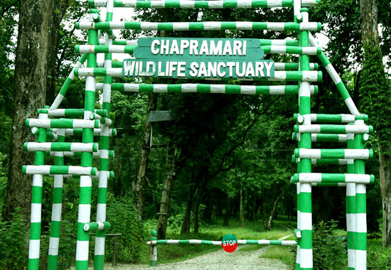 Chapramari