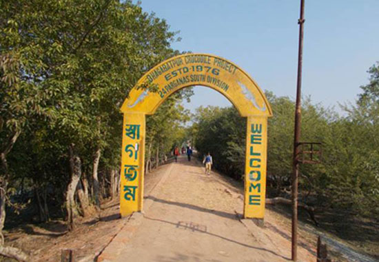 crocodile project of Bhagbatpur