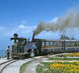 Darjeeling