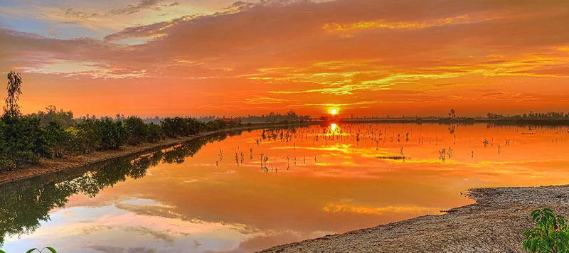 Sundarban